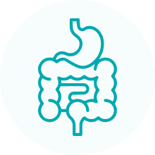 GI Tract icon.png